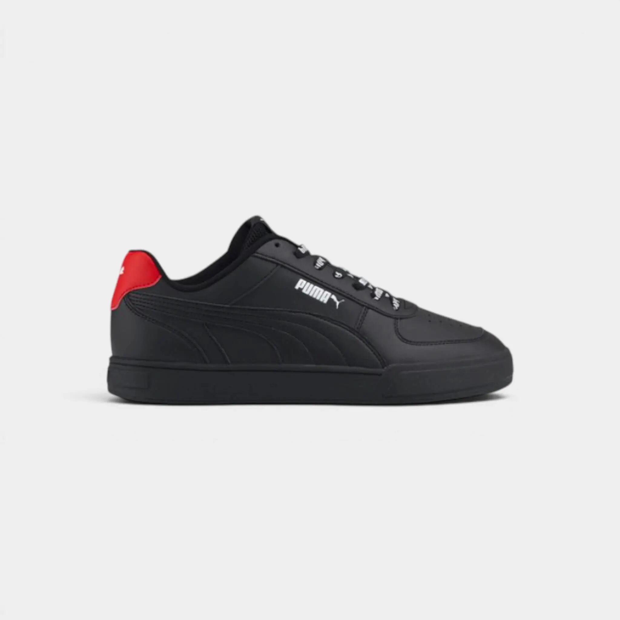 PUMA picture