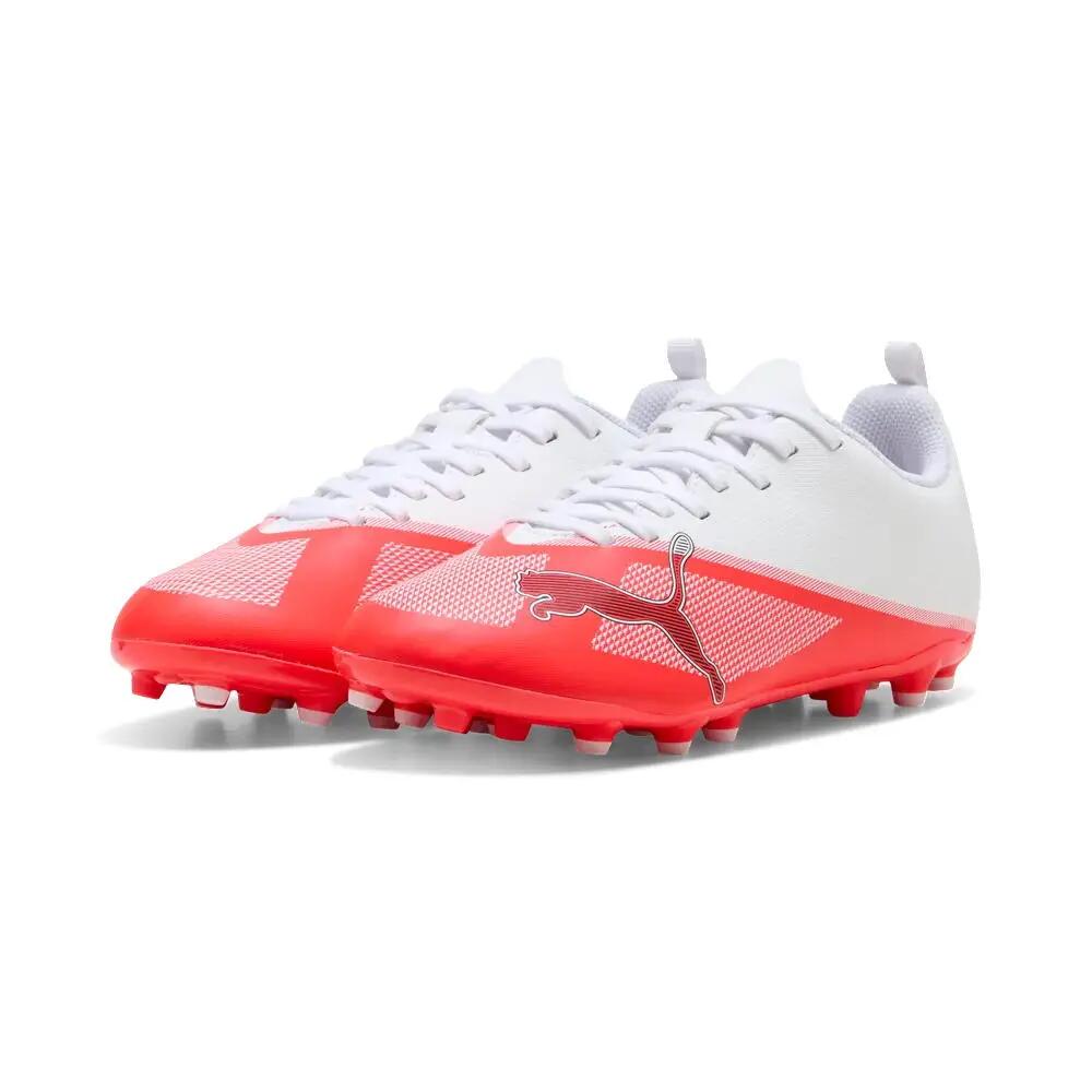 PUMA picture