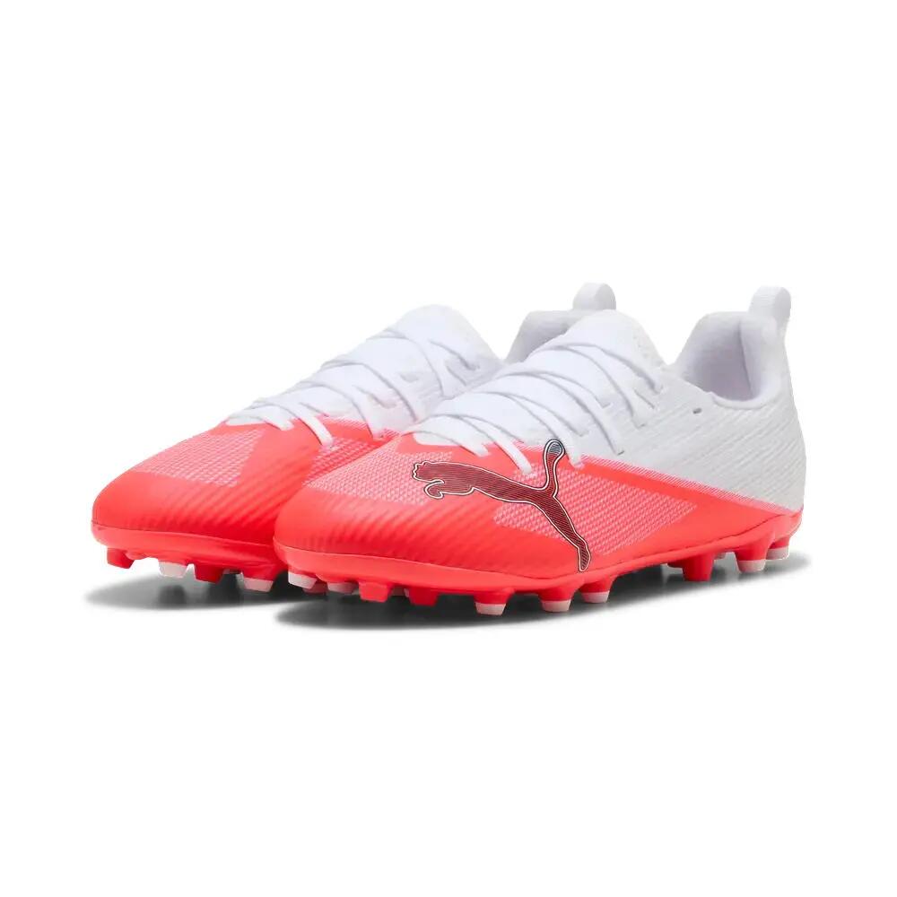 PUMA picture