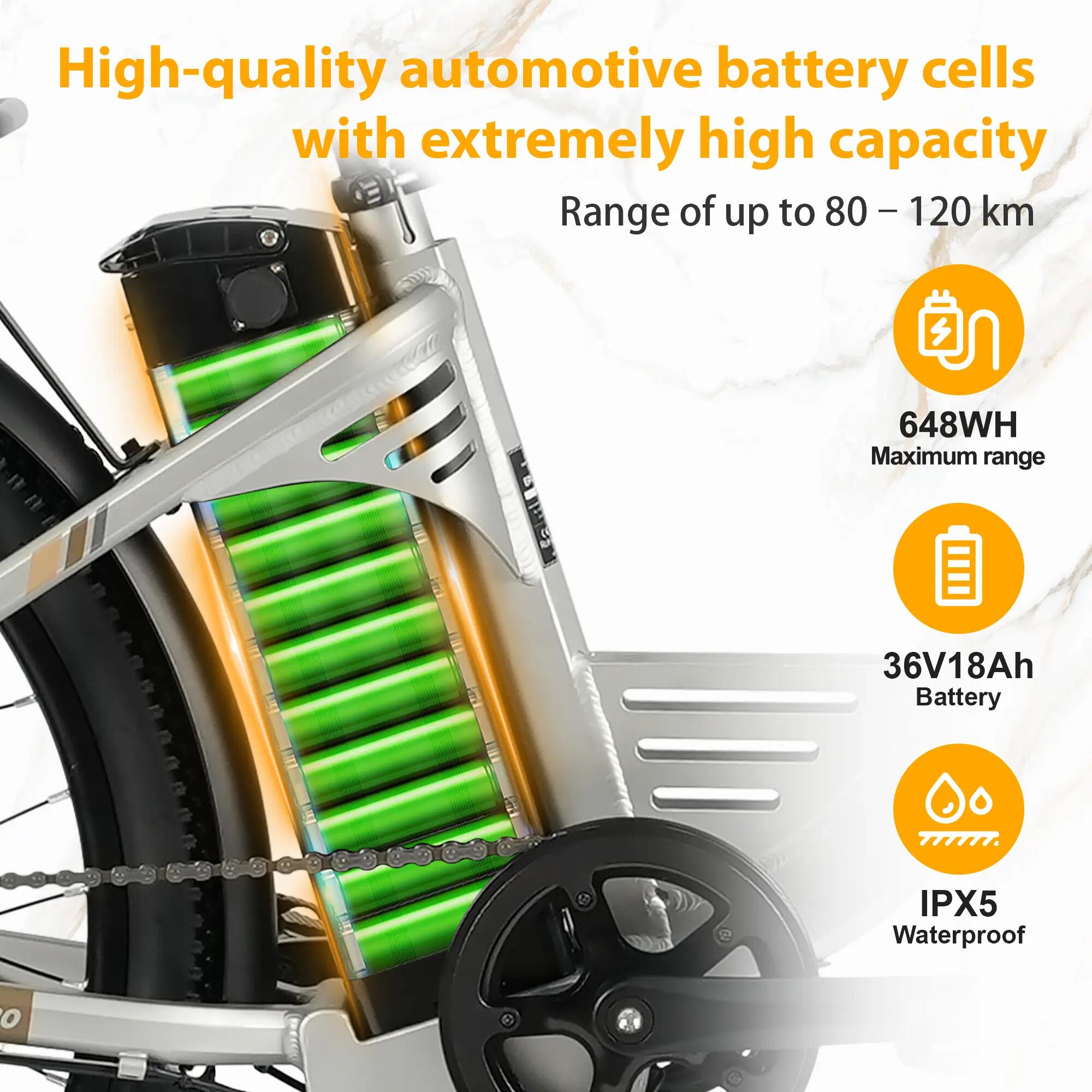 Bicicletta elettrica per adulti C2 PRO, batteria 36V 18Ah, pneumatici 26" × 1,95 9/12