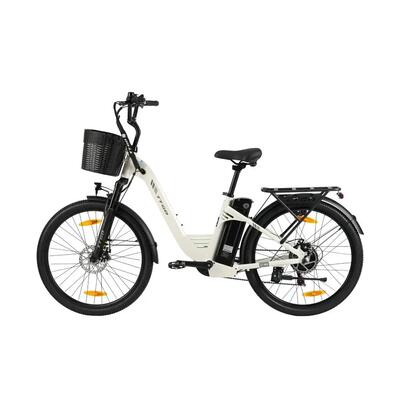 Ttgo c2 pro stads e-bike 36v18ah accu 120km bereik ipx5