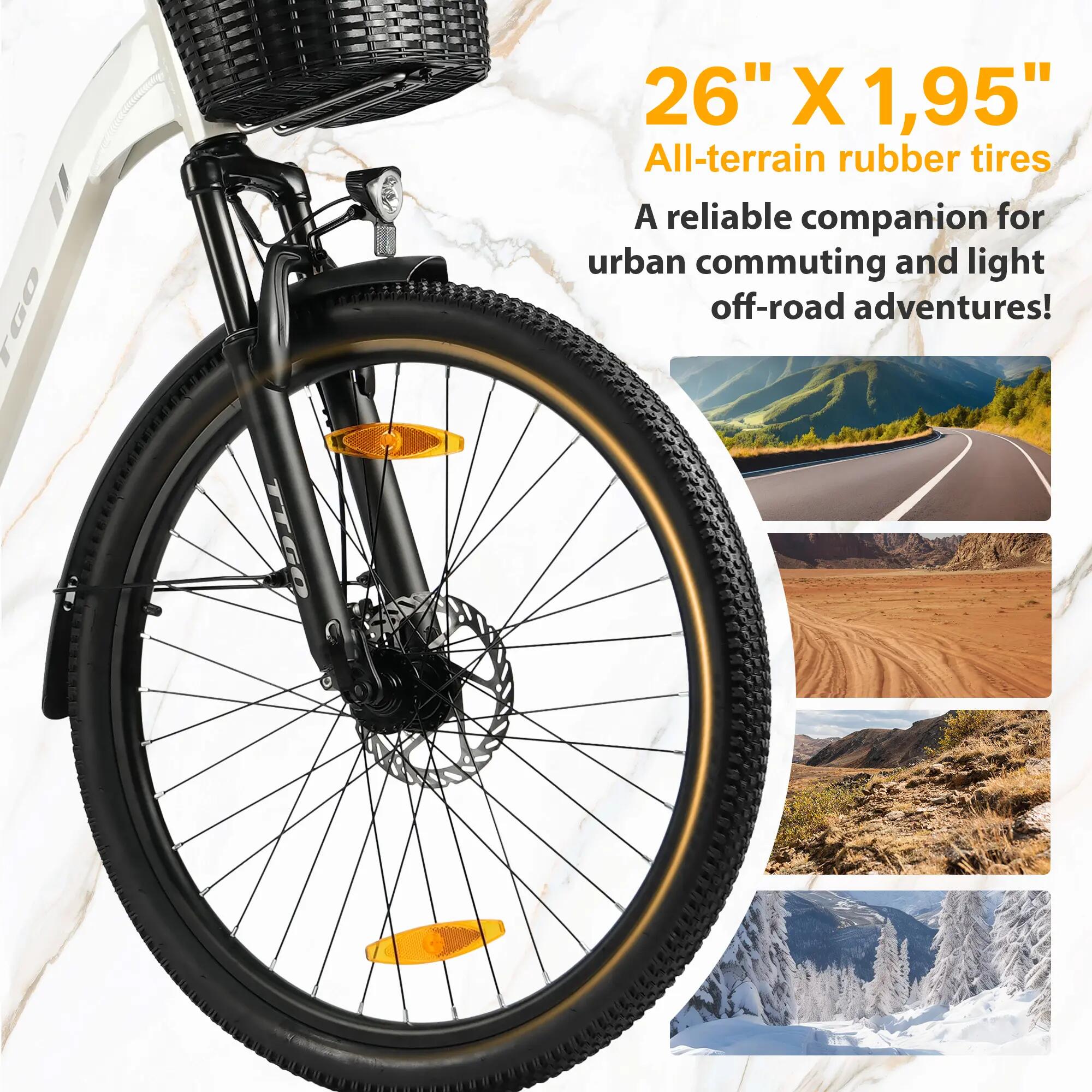 E-Bike für Erwachsene C2 PRO, 36V-18Ah-Akku, Reifen 26" × 1,95". 12/12