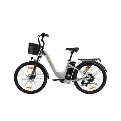 Ttgo c2 pro stads e-bike 36v18ah accu 120km bereik ipx5