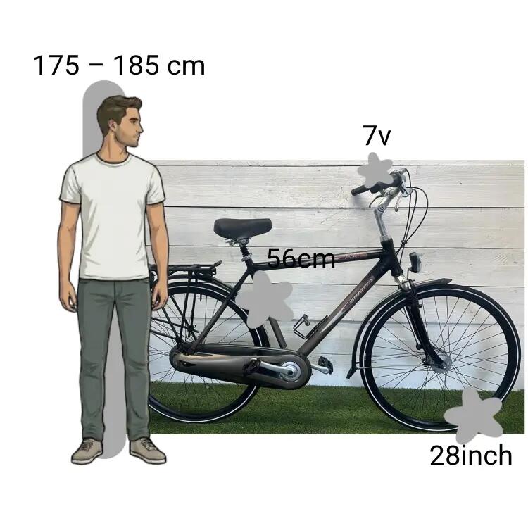 Bicicletta usata Sparta Pallas 2/4