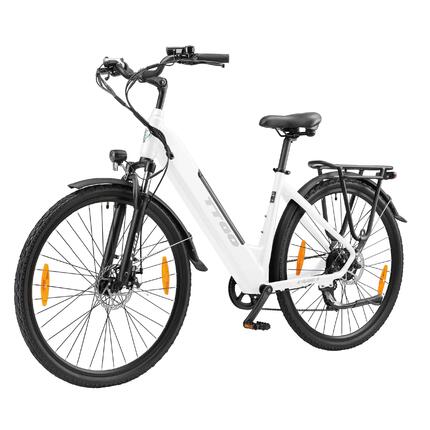Vélo électrique pour adultes TTGO HZ-28ST Batterie 36V20Ah