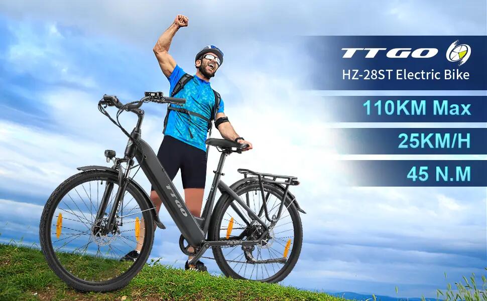 Bicicletta elettrica per adulti TTGO HZ-28ST Batteria 36V20Ah 10/12