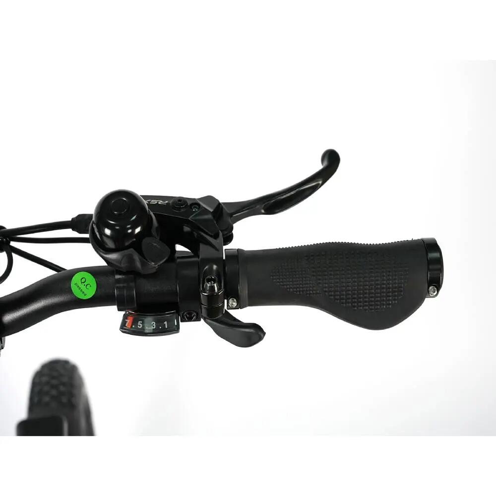 Bicicletta elettrica per adulti F8, batteria 48V 18Ah, pneumatico da 20". 7/13
