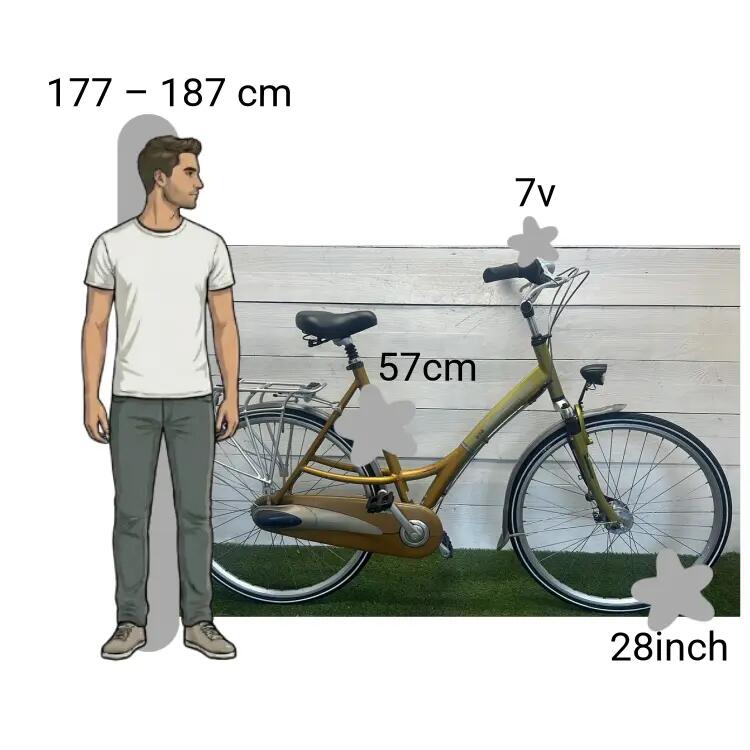 Vélo d’occasion Batavus Crescendo 2/4