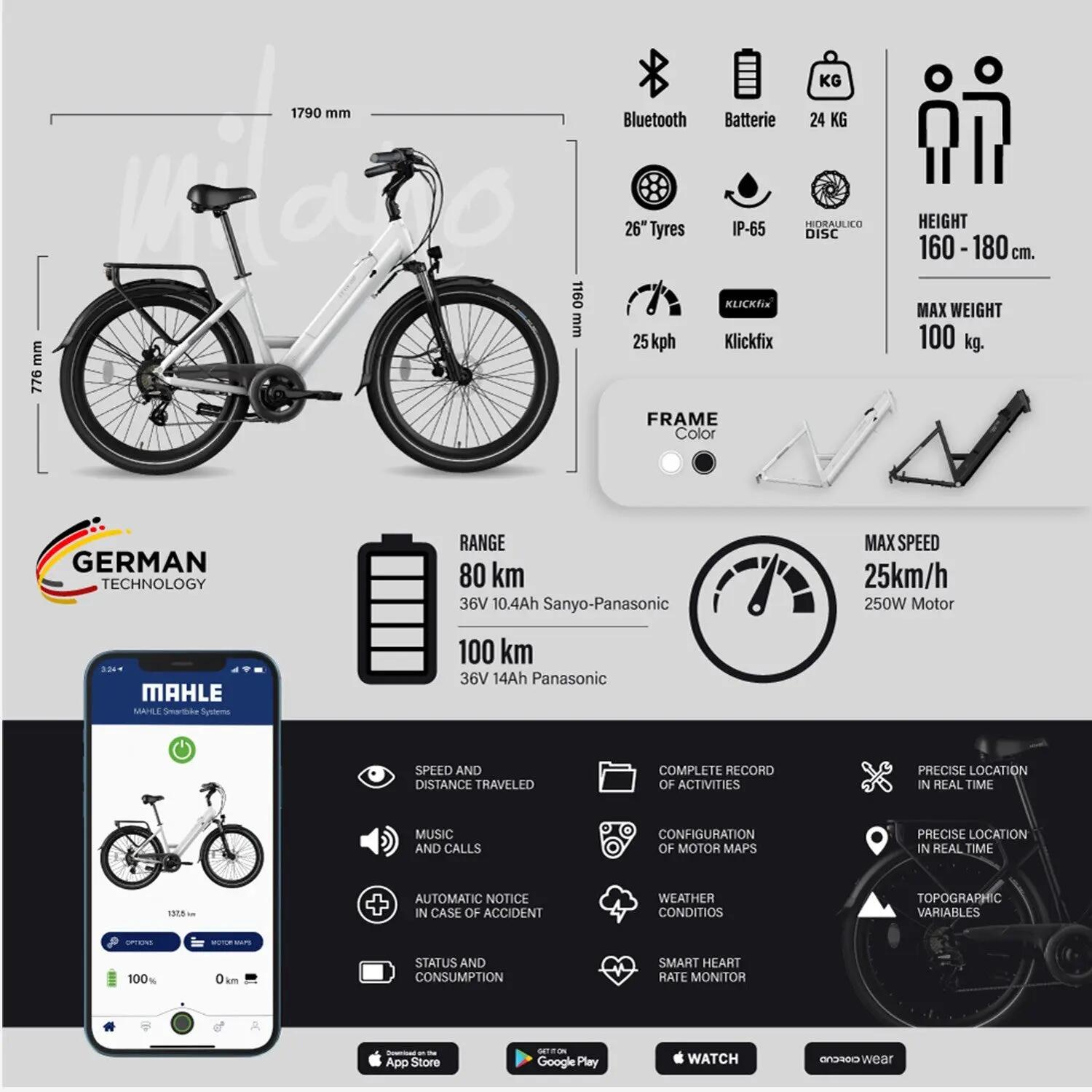 eufab fahrrad montageständer profi 16421 Fahrradmontageständer für E-Bikes, Fahrradständer, Silber, Schwarz Baumarkt Engelsaugen mit Mandeln (Husarenplätzchen) 40_spring Farbe:grau metallic