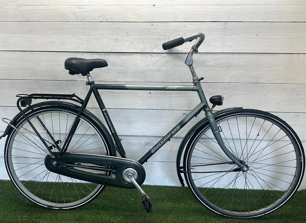 BATAVUS picture