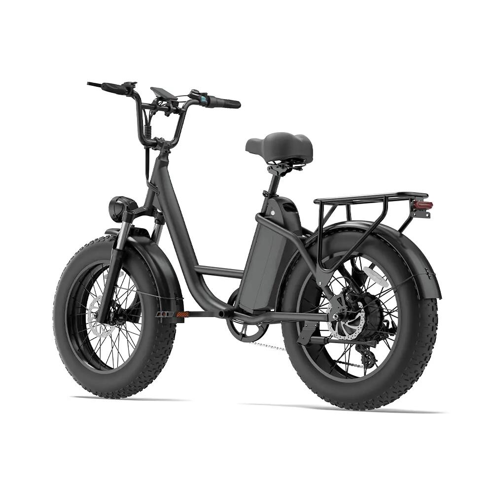 Bicicleta eléctrica para adultos URLIFE E20 PRO, batería 48V 15,6Ah, E-bike 20" 3/13