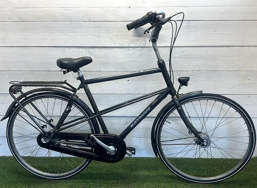 BATAVUS picture