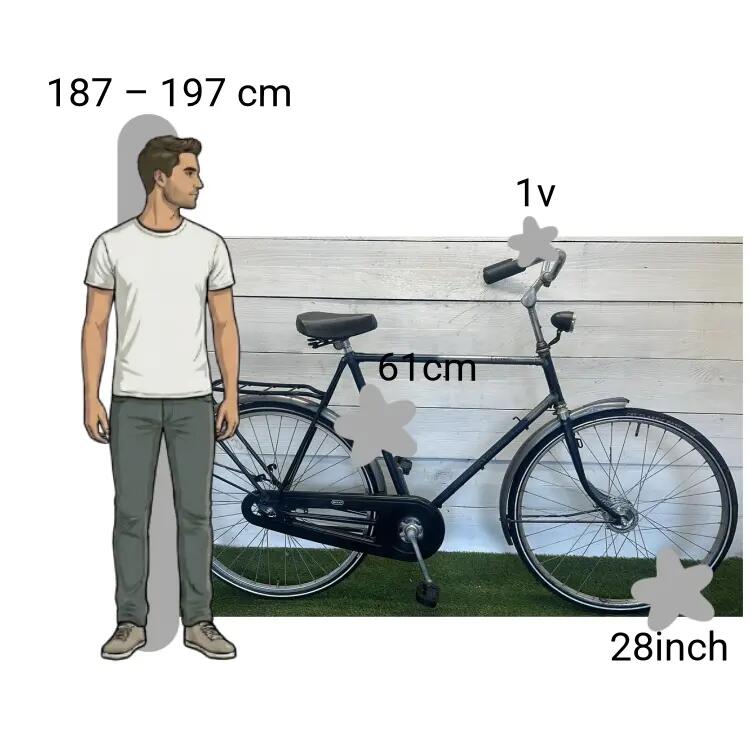 Bicicleta usada Batavus Torino 2/4