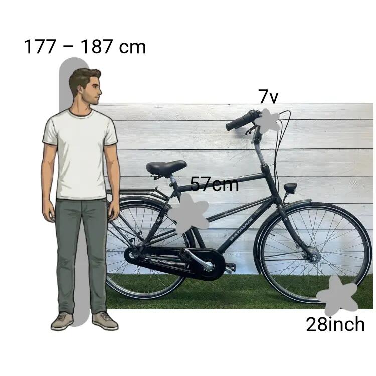 Bicicletta usata Batavus 2/4