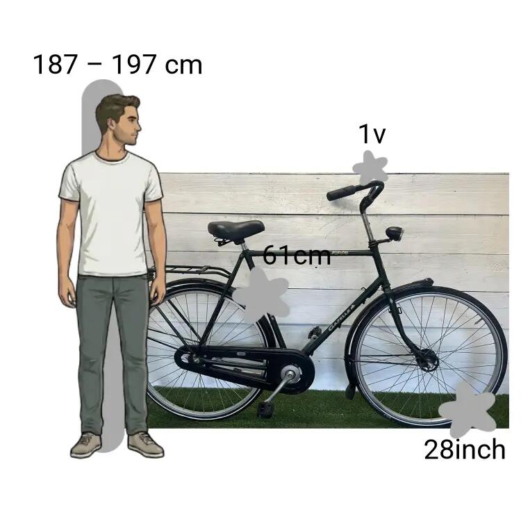 Vélo d’occasion Gazelle Free 2/4