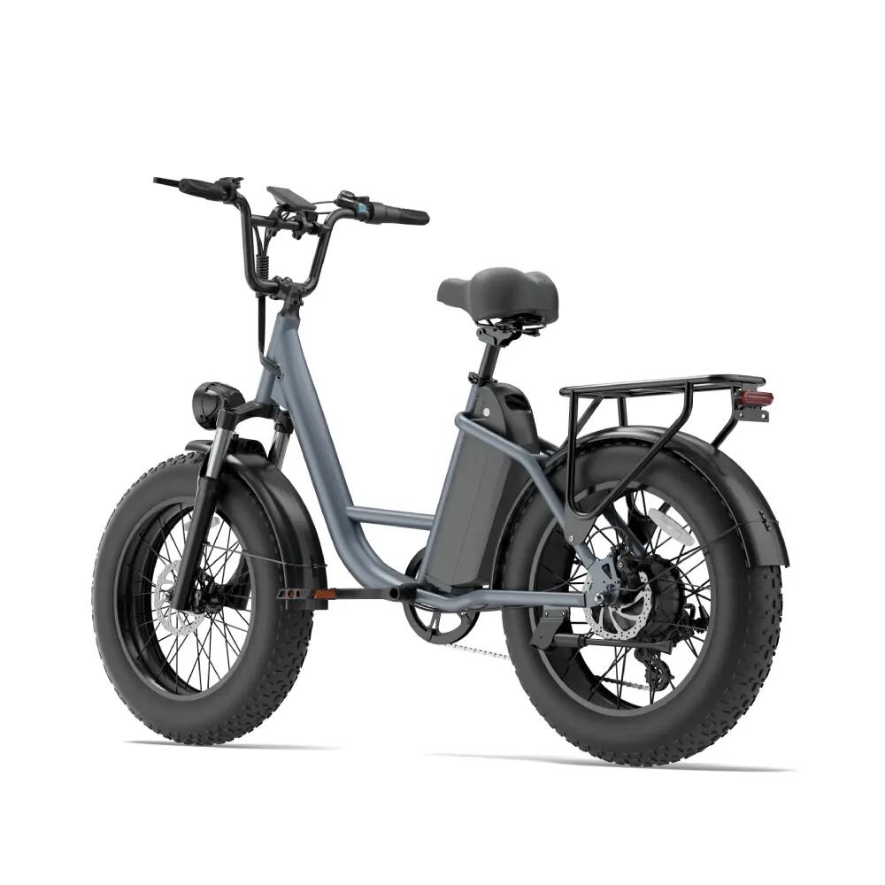 Bicicleta eléctrica para adultos URLIFE E20 PRO, batería 48V 15,6Ah, E-bike 20" 3/13