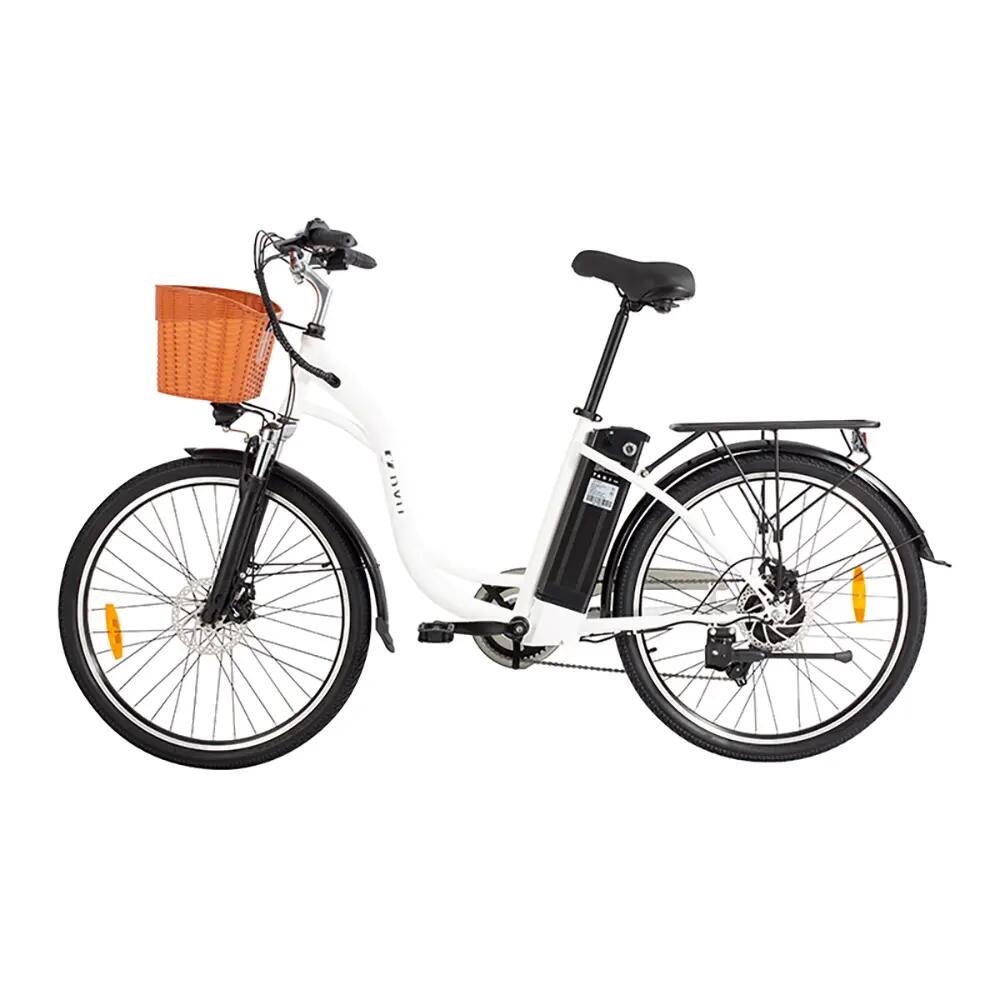 Elektrische fiets voor volwassenen DYU C6 batterij 36V 12.5 Ah banden 26 inch 3/15