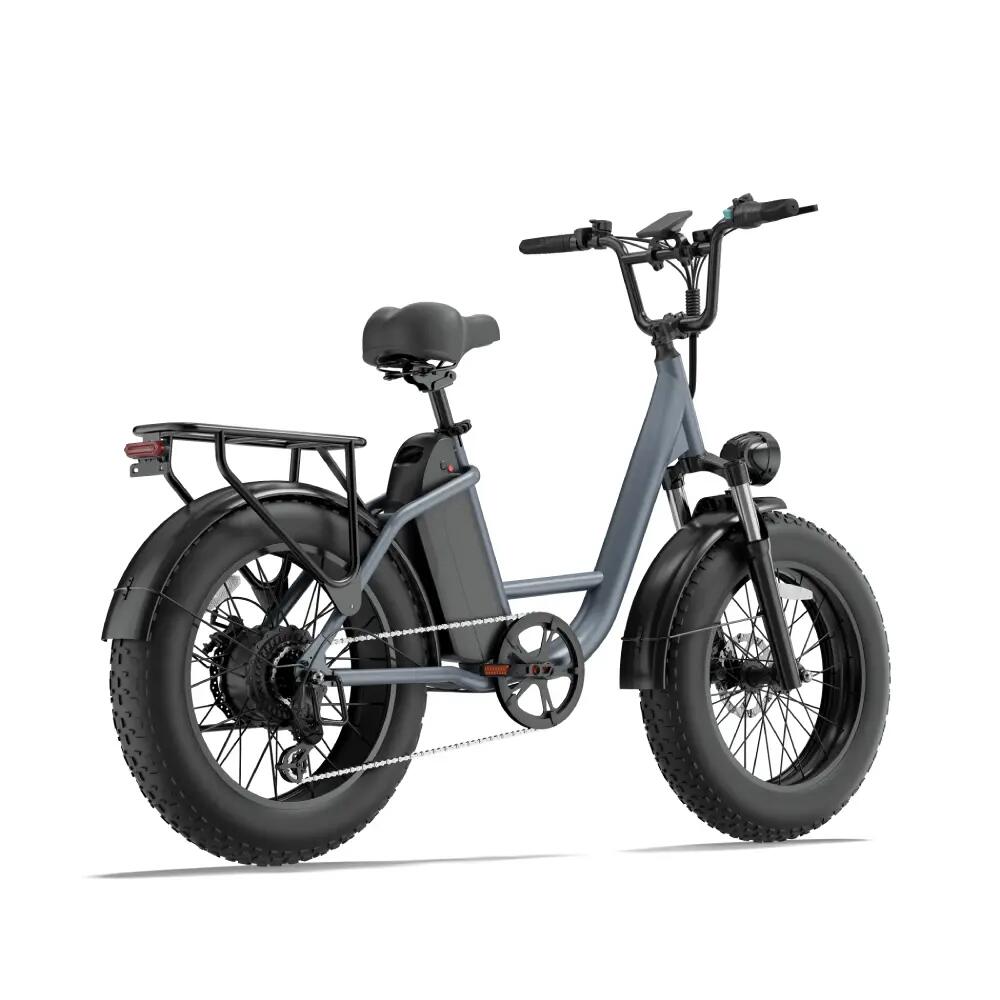 Bicicleta eléctrica para adultos URLIFE E20 PRO, batería 48V 15,6Ah, E-bike 20" 2/13