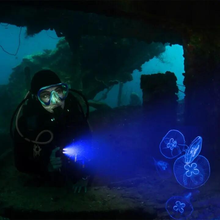 Latarka nurkowa WURKKOS DL07 3000 lm, światło biel/czerwień/UV 6/7