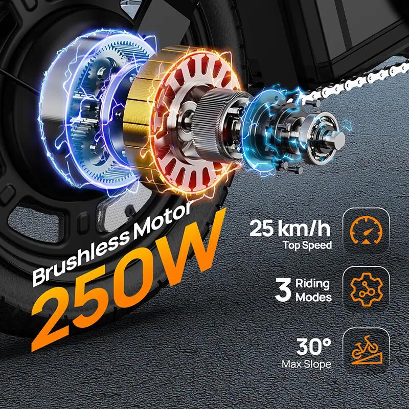 Bicicleta eléctrica para adultos URLIFE F1L, 250W, 48V 7,5Ah, 14 pulgadas 8/14