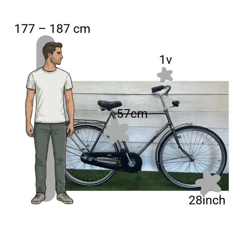 Vélo d’occasion Roma 2/4