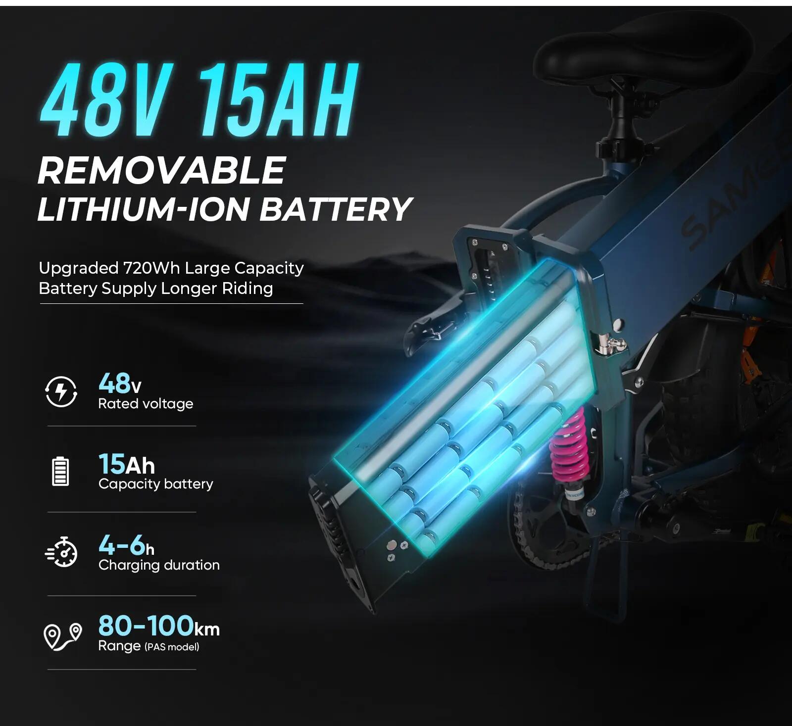 Bicicletta elettrica per adulti SAMEBIKE RS-A02 PRO Batteria 48V 15Ah 12/15