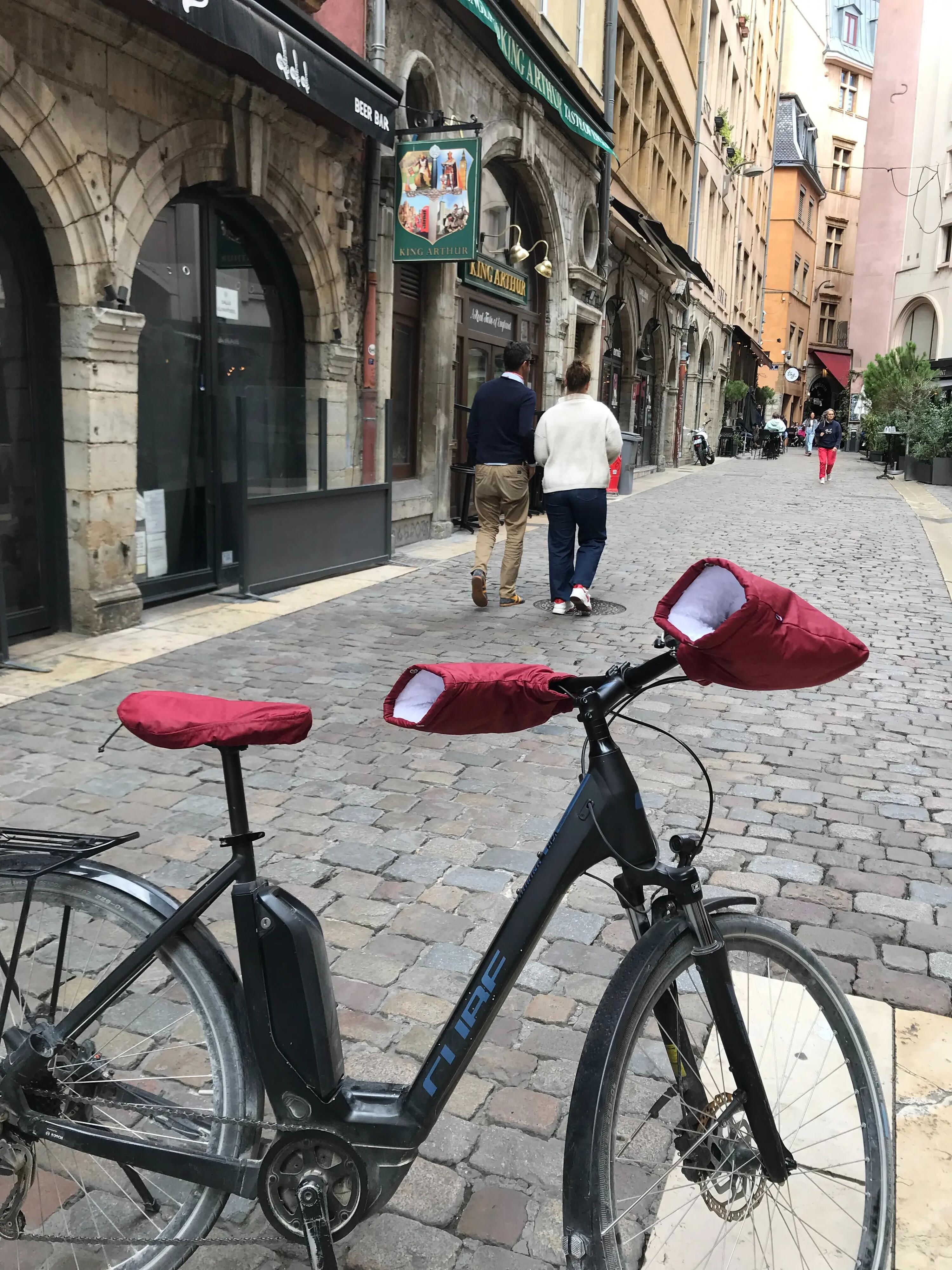 Léons Lenkergriffe (gerader Lenker) Bordeaux 3/4