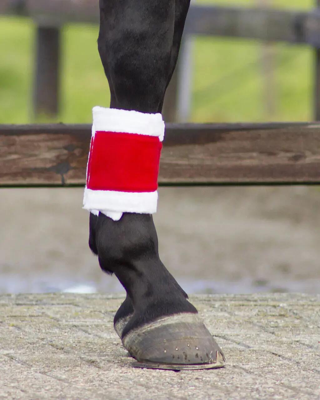 Horse bandage QHP Christmas (x4) 2/2