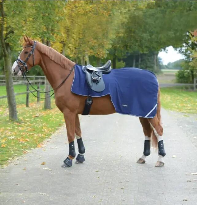 BUSSE picture