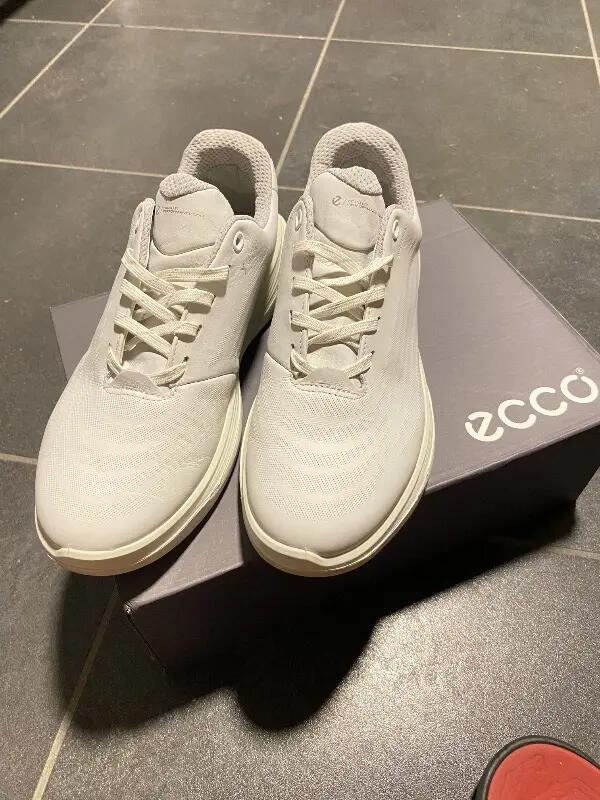 ECCO picture