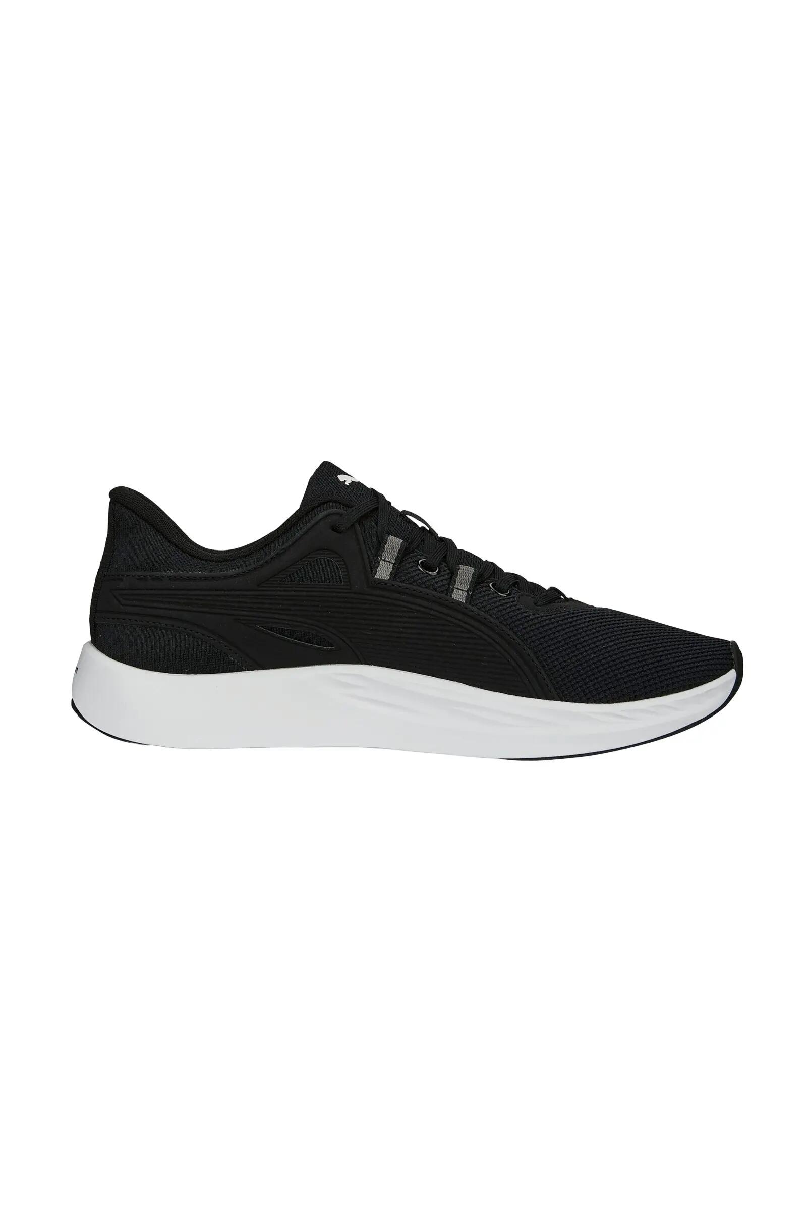 PUMA picture