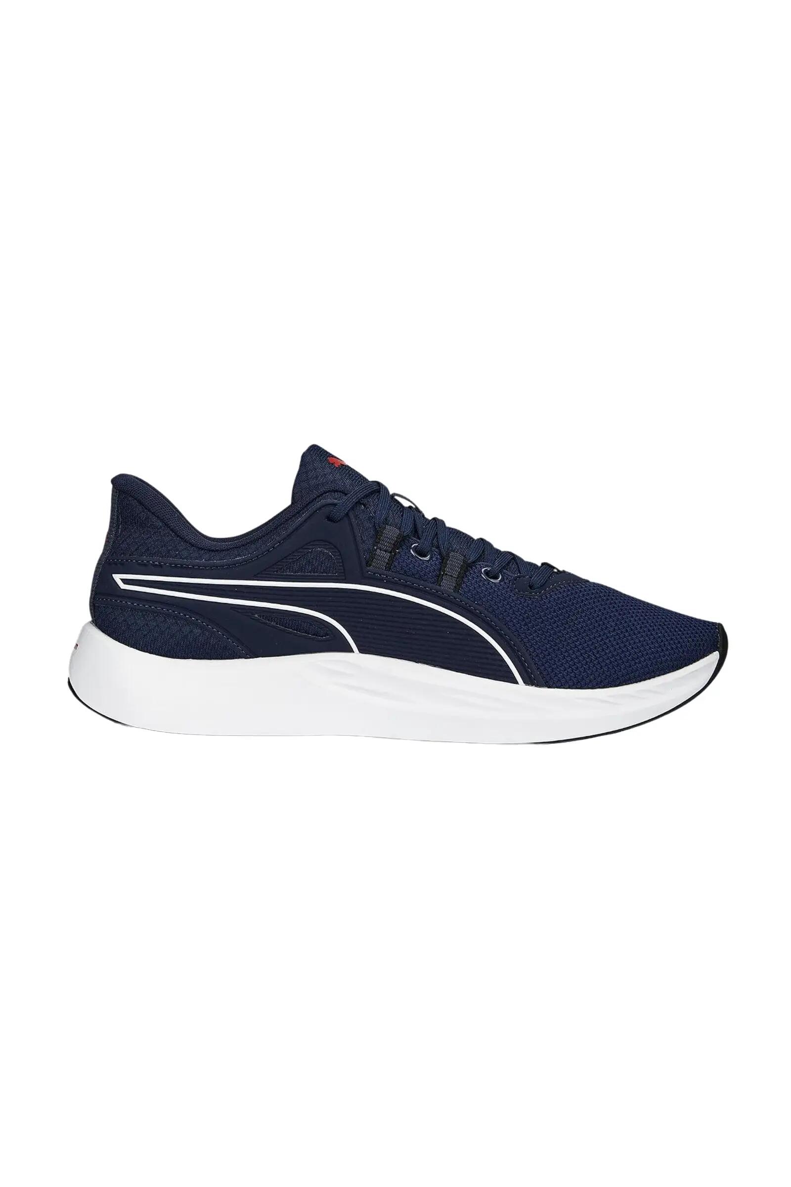 PUMA picture