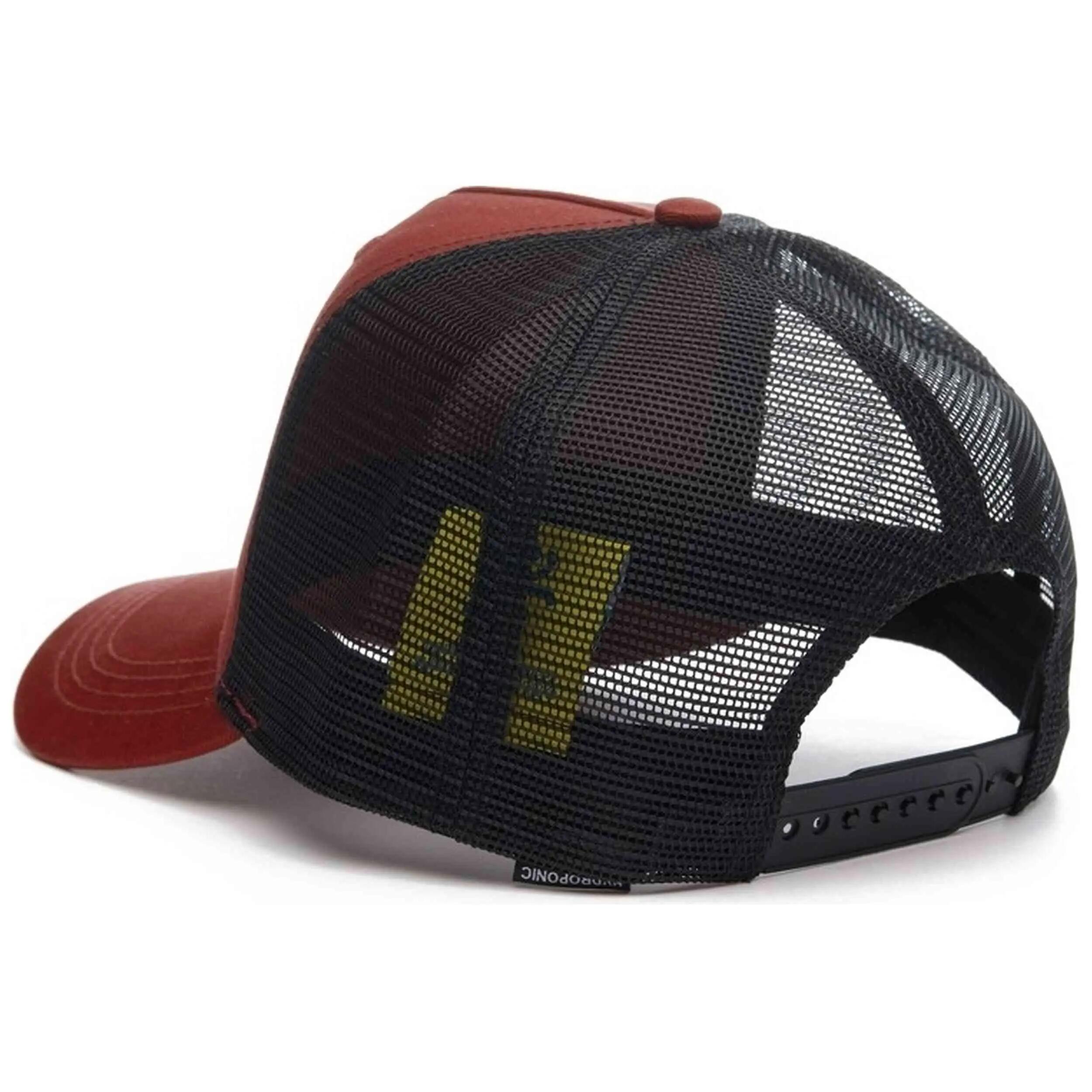Gorra Hydroponic modelo Sb Sk8bob para unisex 2/4