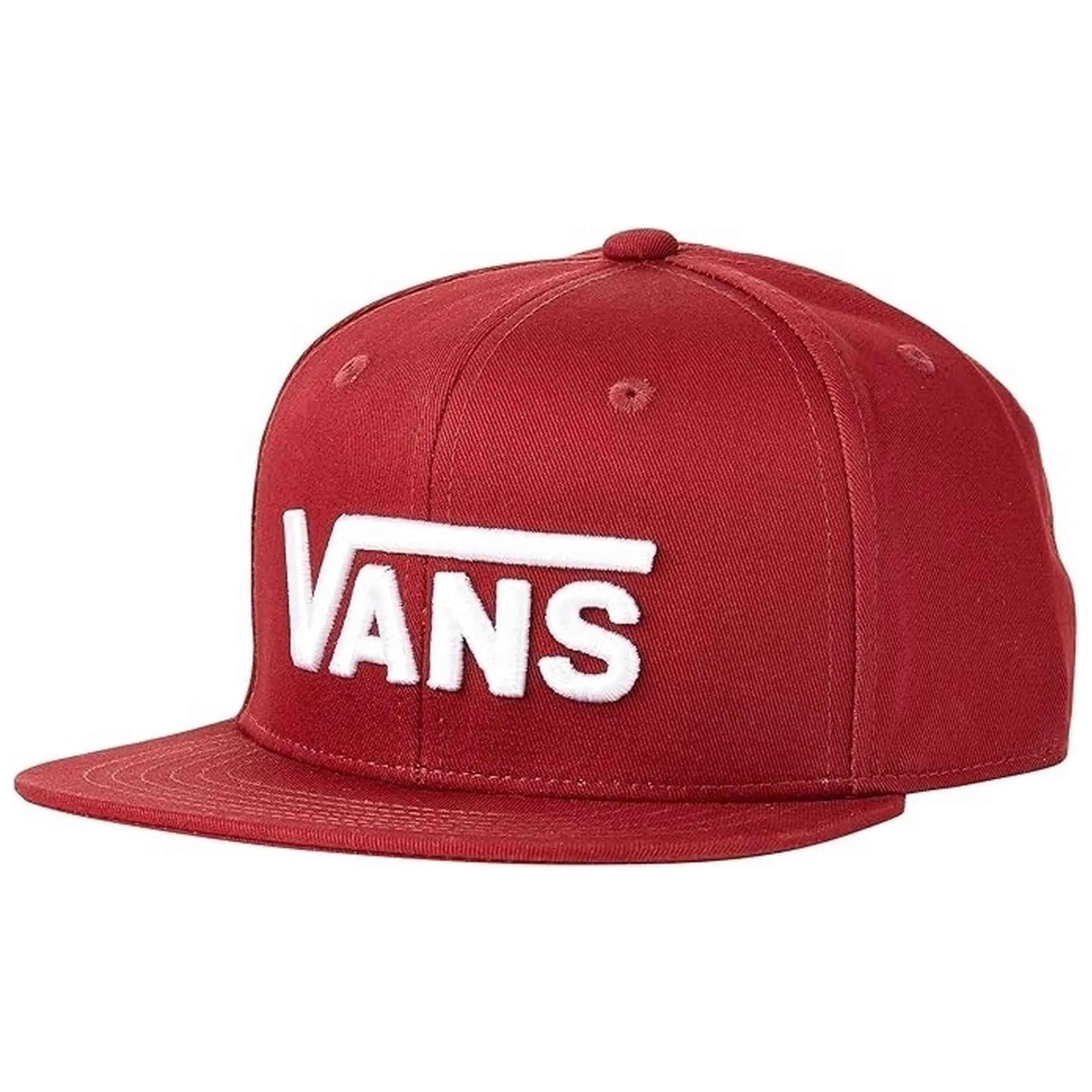VANS picture