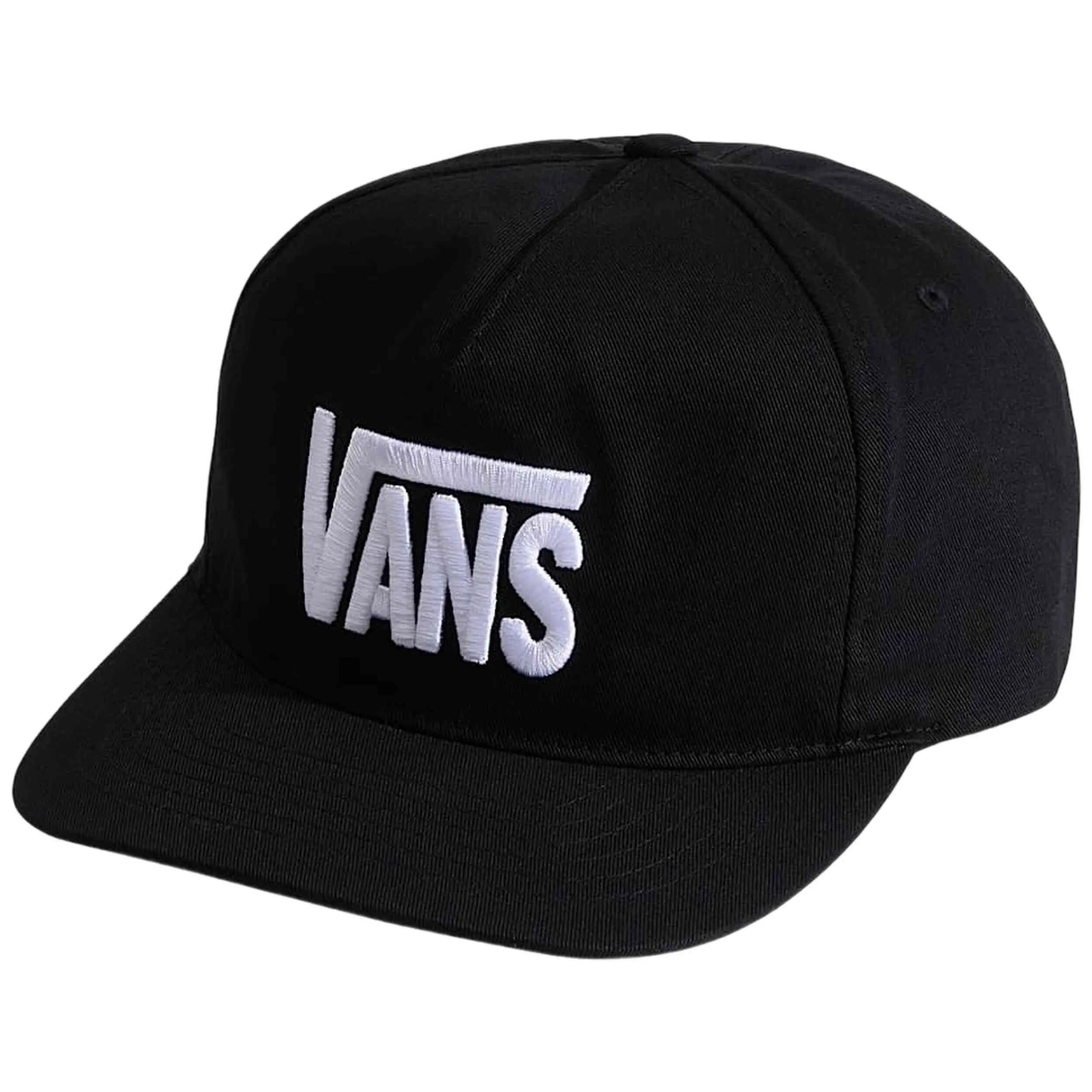 VANS picture