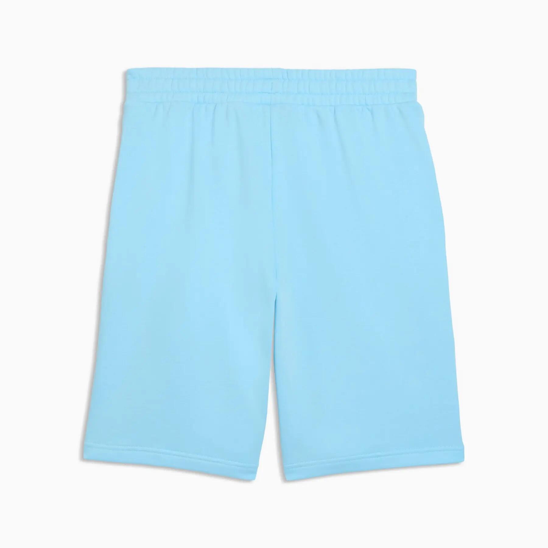 Puma ESS 2 COLOR NO.1 LOGO 10" TR herenshorts blauw maat M 2/2