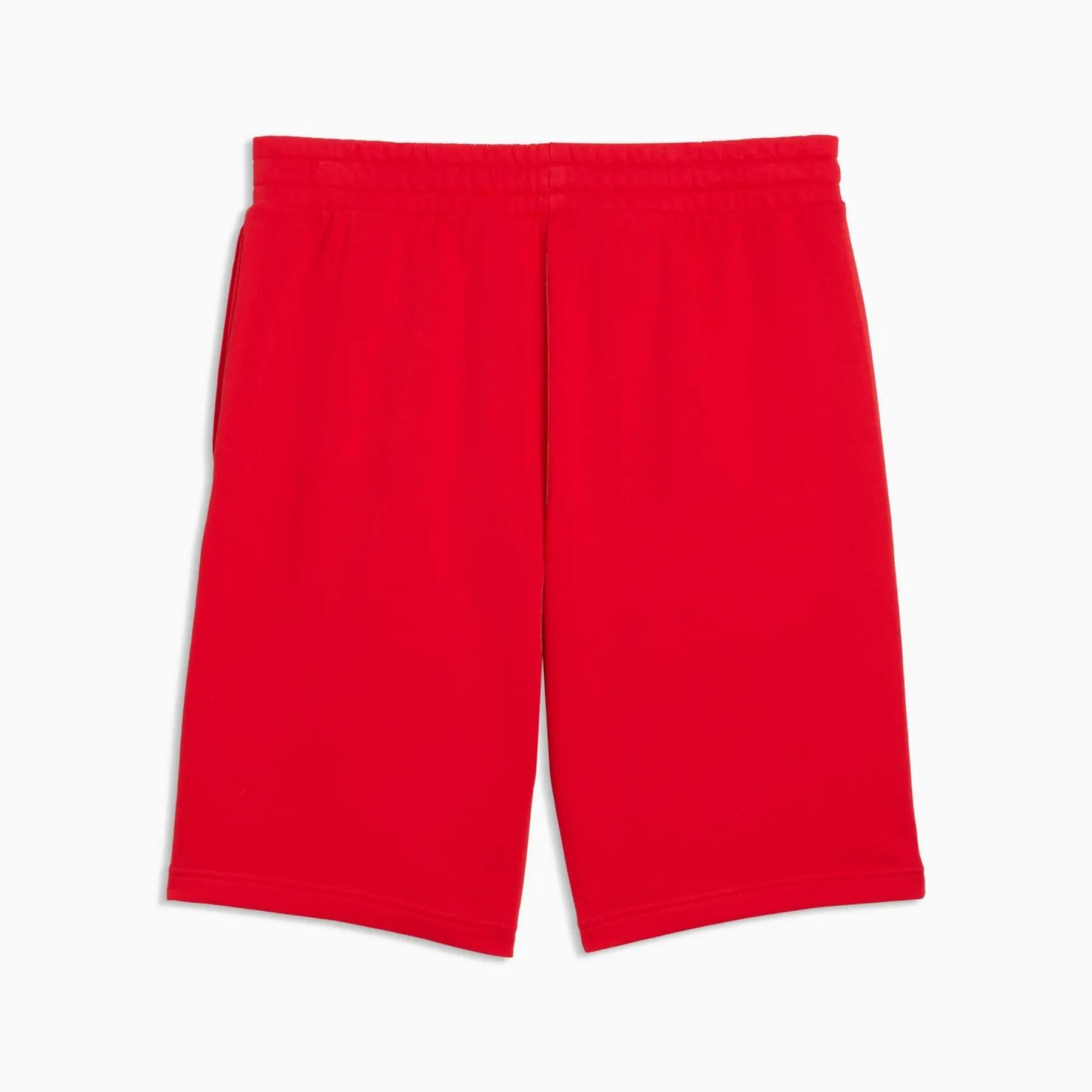 Puma ESS 2 COLOR NO.1 LOGO 10" TR herenshorts rood maat XXL 2/5