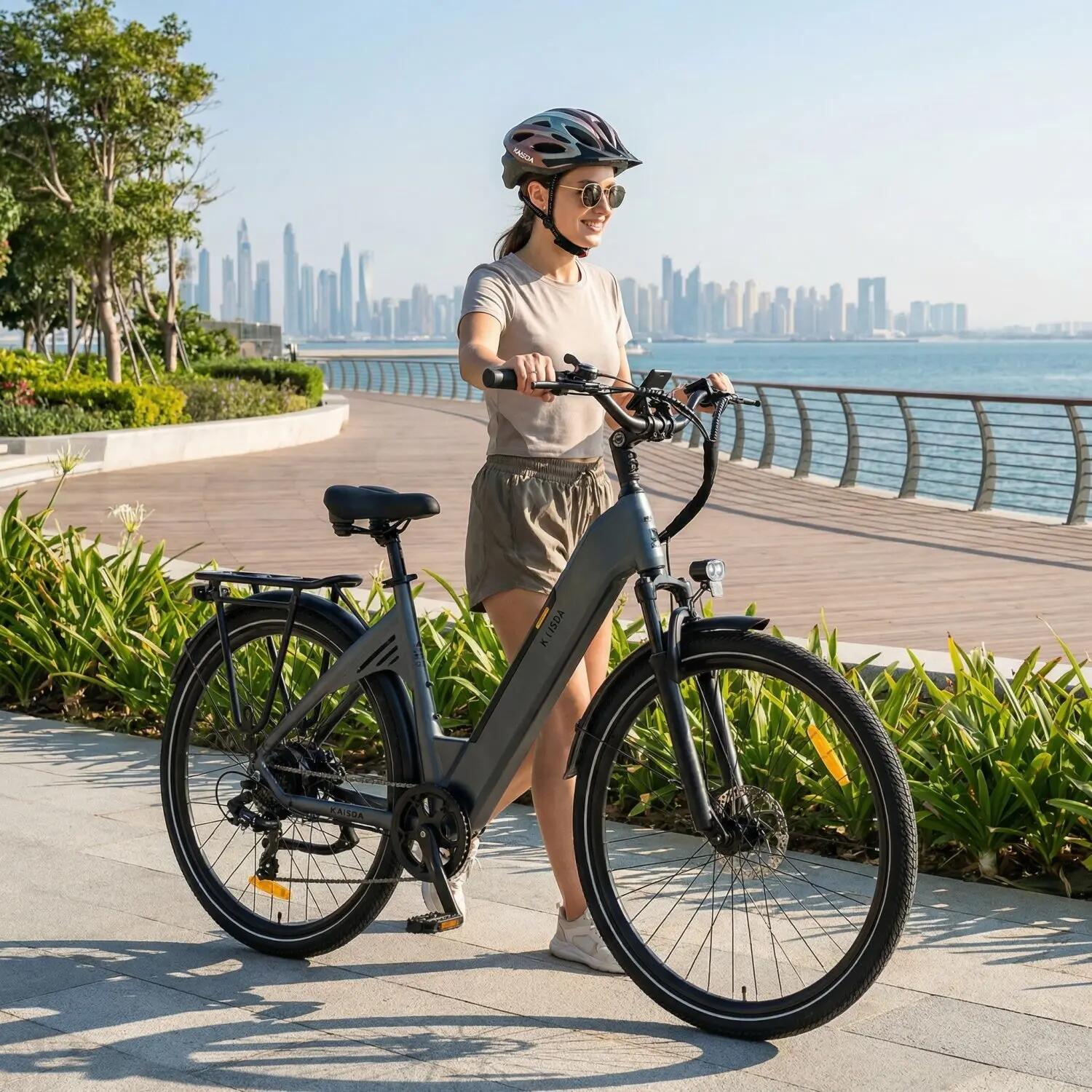 KAISDA K608 Bici Elettrica 350W 36V20Ah 28" Grigio 5/5
