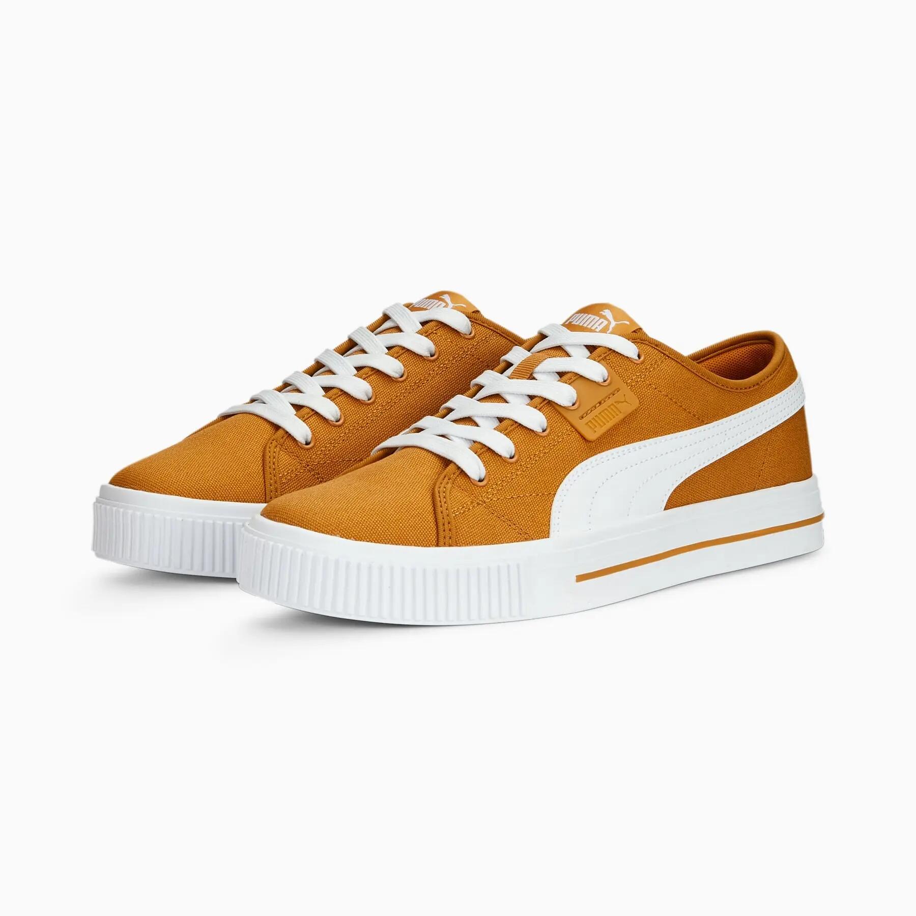 PUMA picture