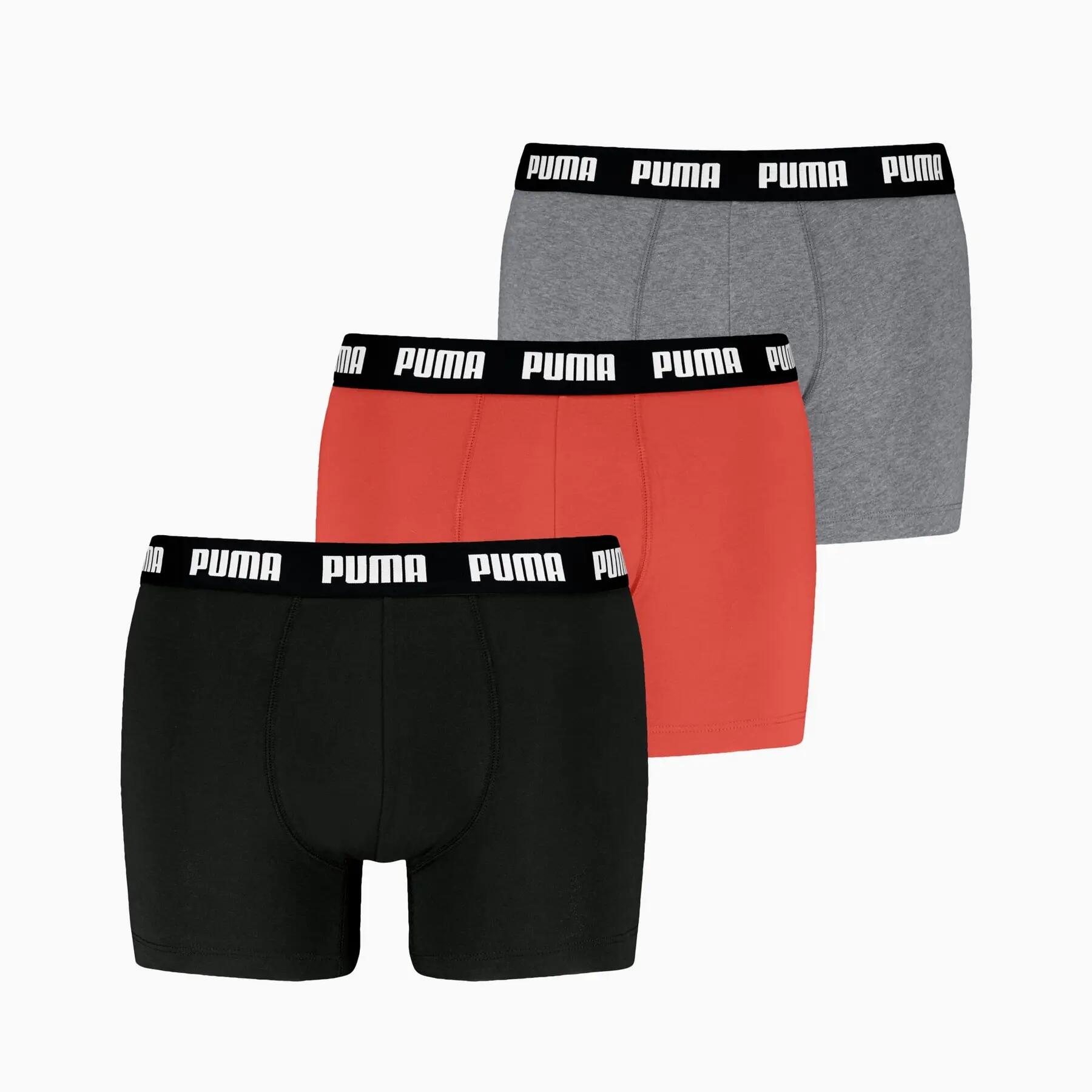 PUMA picture