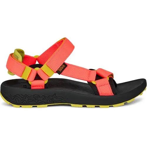 TEVA picture