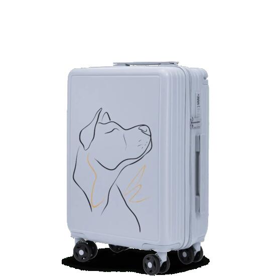 Valise cabine Wings ABS+ 20" Personnalisée BLEU PASTEL CHIEN