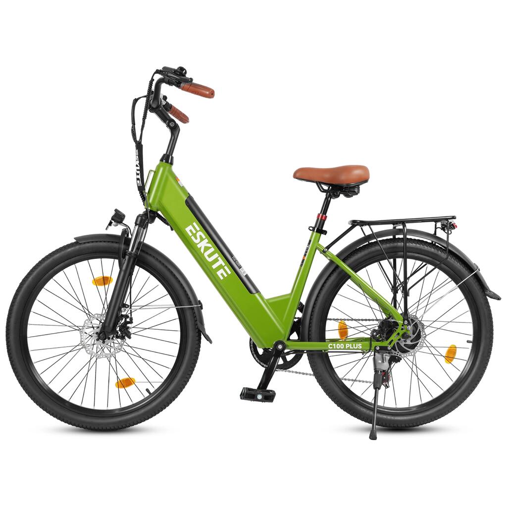 Electric Bike for adult Eskute C100 Plus 36V 13Ah battery