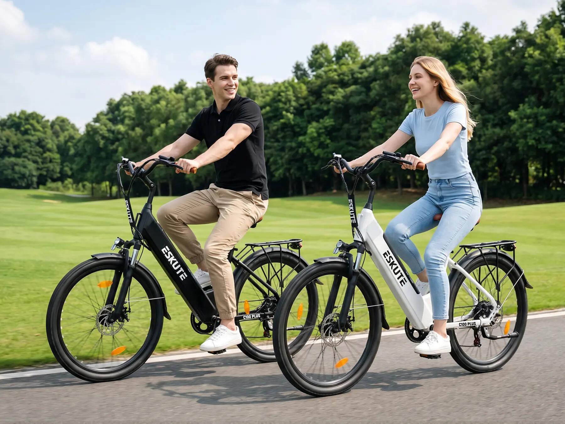 Bicicletta elettrica per adulti Eskute C100 Plus Batteria 36V 13Ah 4/4