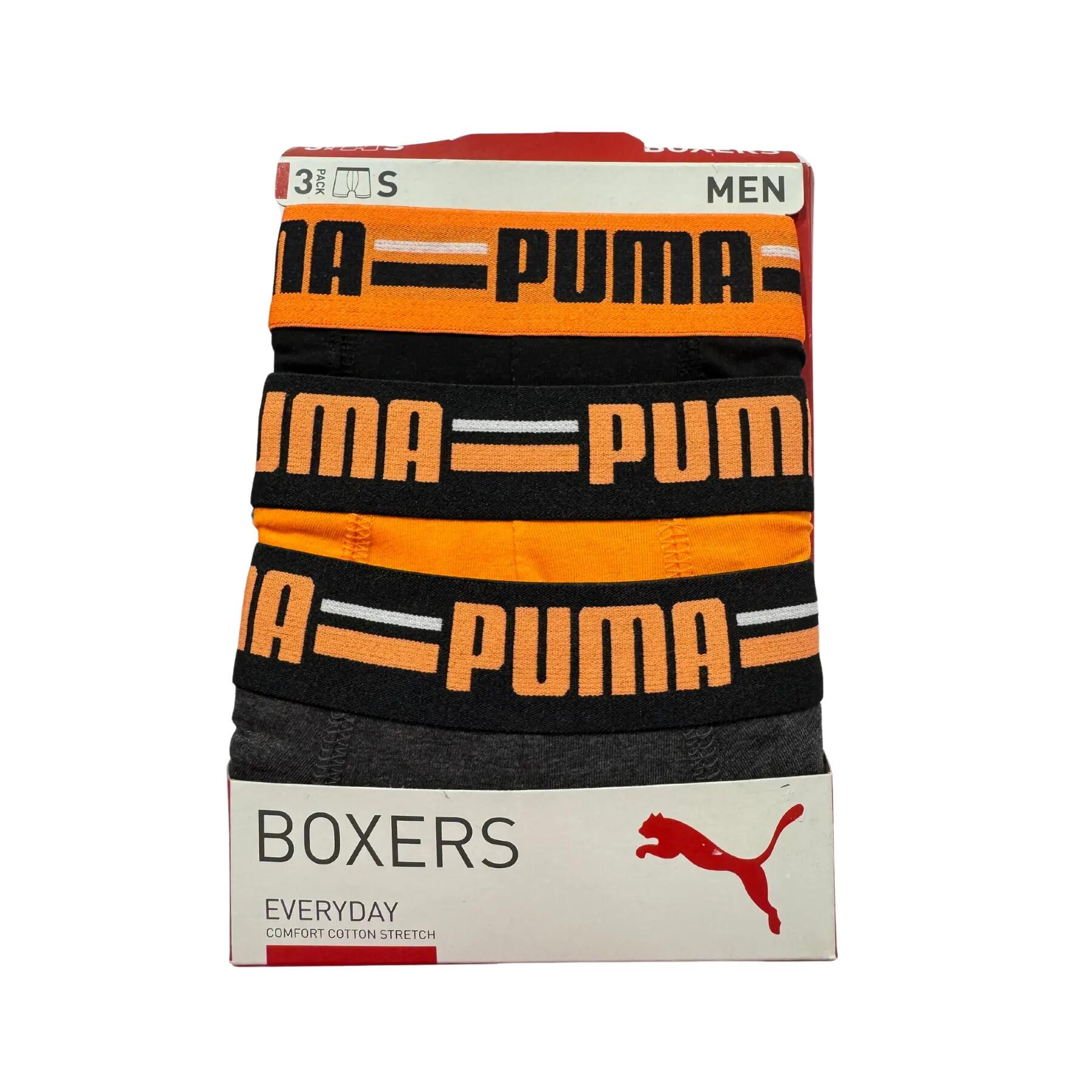 PUMA picture
