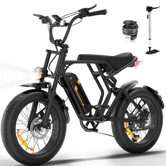 Vélo électrique fat bike 20" 48V 15Ah batterie amovible BK29T