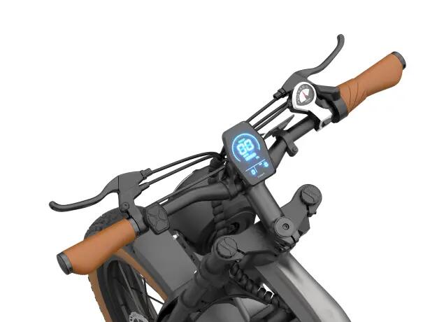 Bicicleta Eléctrica DYU M20, Batería Extraíble 48V 18.2Ah, Neumáticos 20*4.0PL 7/7