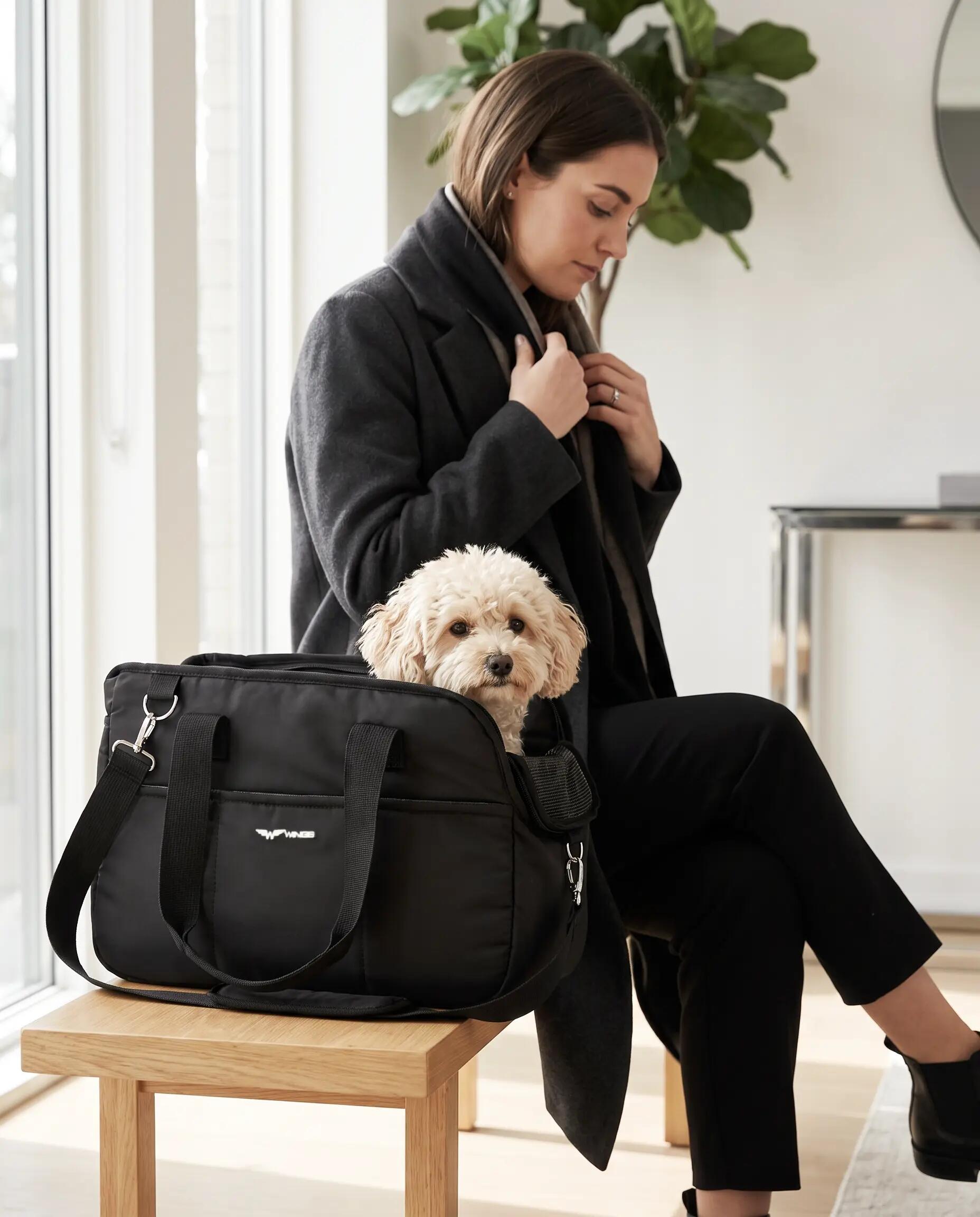Transporteur pour animaux WINGS avec poignée pour valise NOIR 2/9