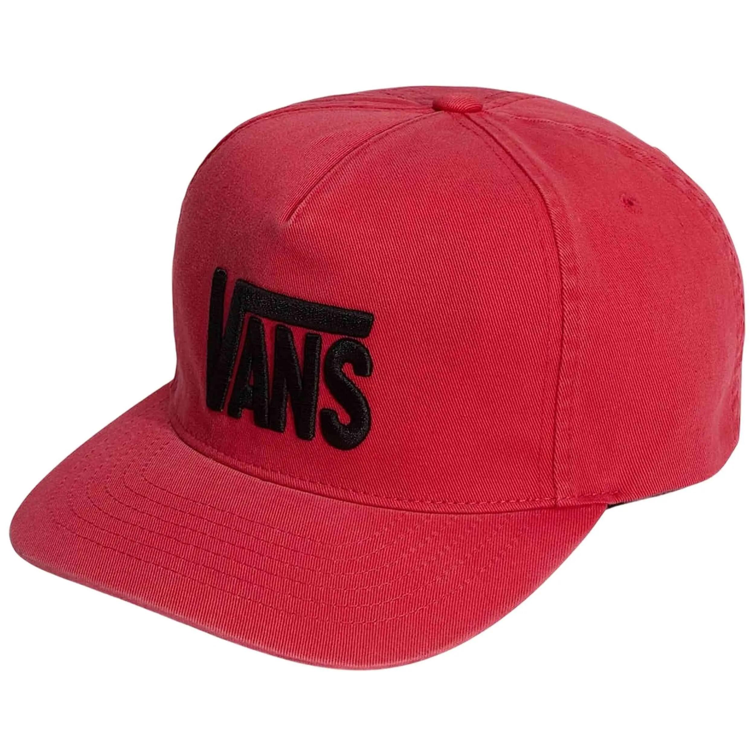 VANS picture