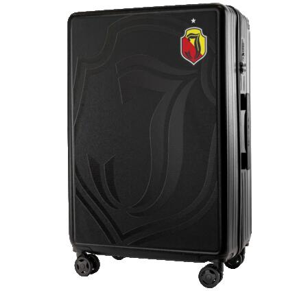 Grande valise Wings ABS+ 28" personnalisée BLEU PASTEL COQUELICOTS POPIERSIE